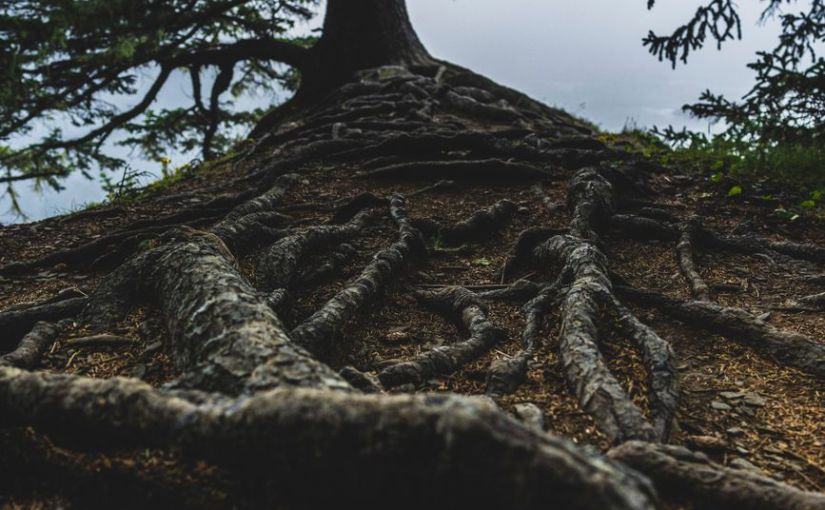 October 13, 2026–Theme: Rooted, Yet&nbsp;Growing